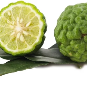 Citron combava bio (fruit frais) en ligne direct producteur à Orleans
