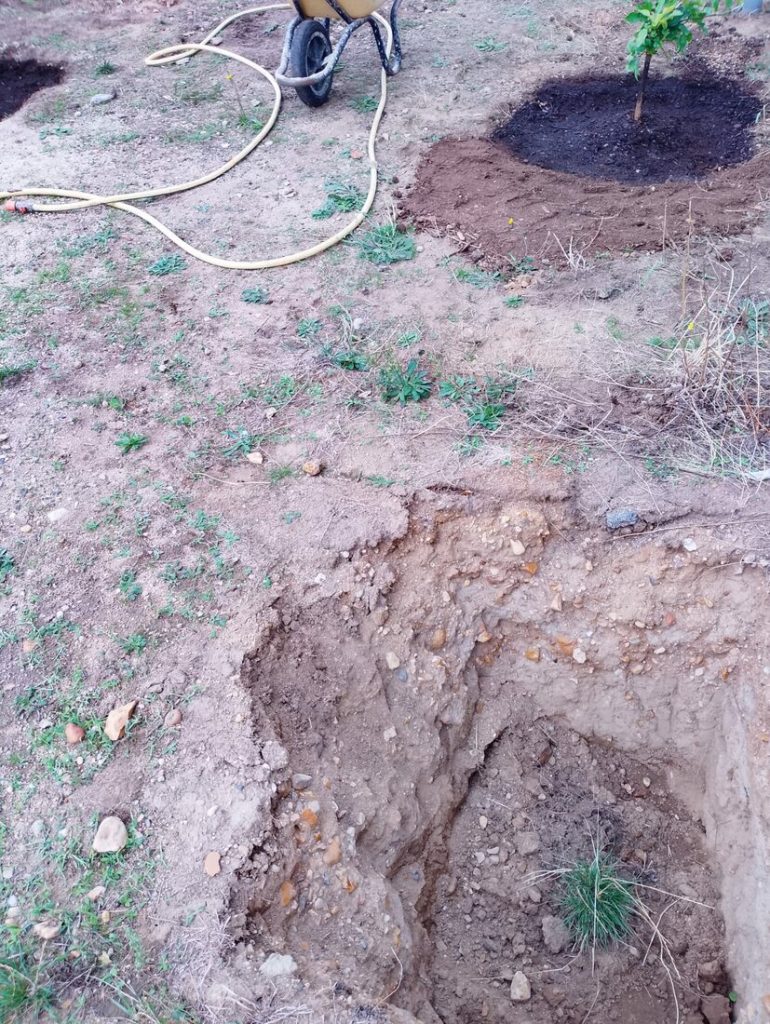 Trou d'environ 1 m³ creusé pour planter un combava en pleine terre